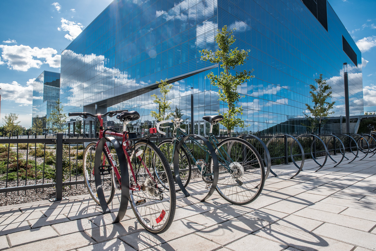 Supports à vélo sur le campus.