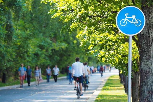 Cycliste sur piste cyclable.